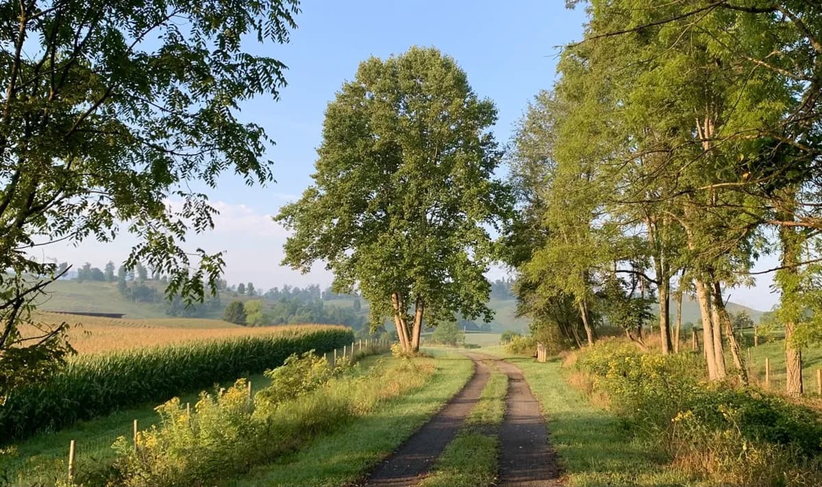 8 Best Day Trips From Gettysburg: Drive Times, Routes, and Planning Tips