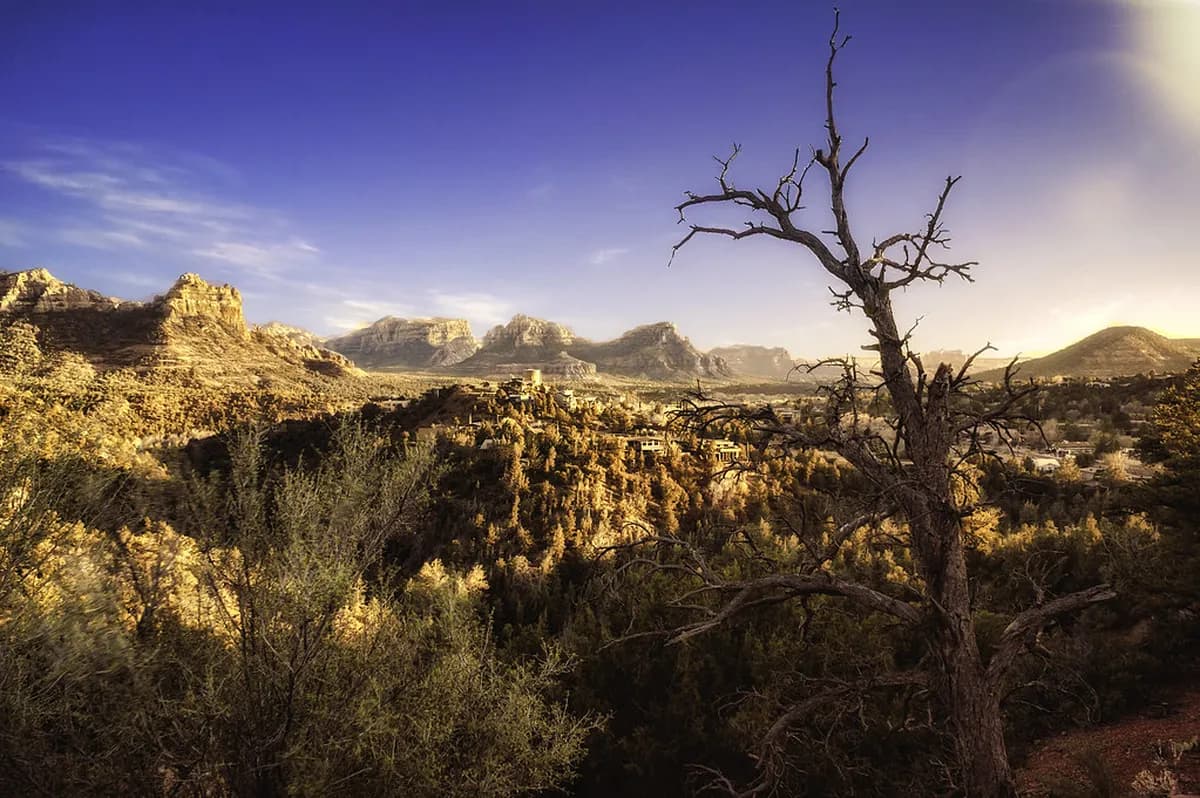 Practical Tips for Visiting Sedona: A Local Logistics Guide