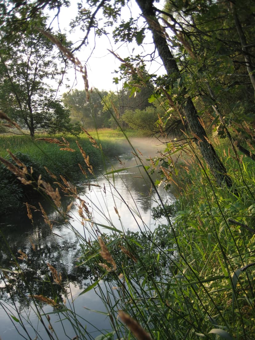 Sugar River State Trail Guide for Albany, Wisconsin
