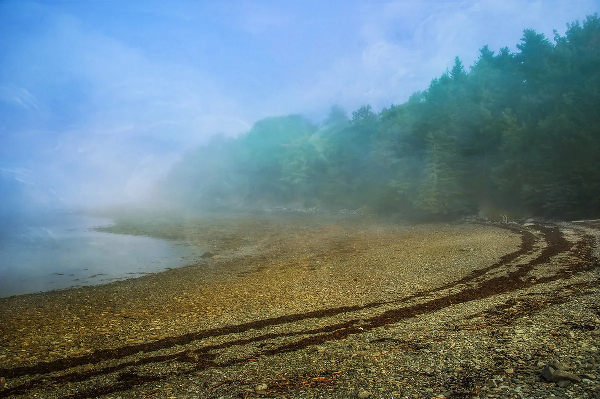 Parking and Getting to Bar Harbor Events in Bar-Harbor