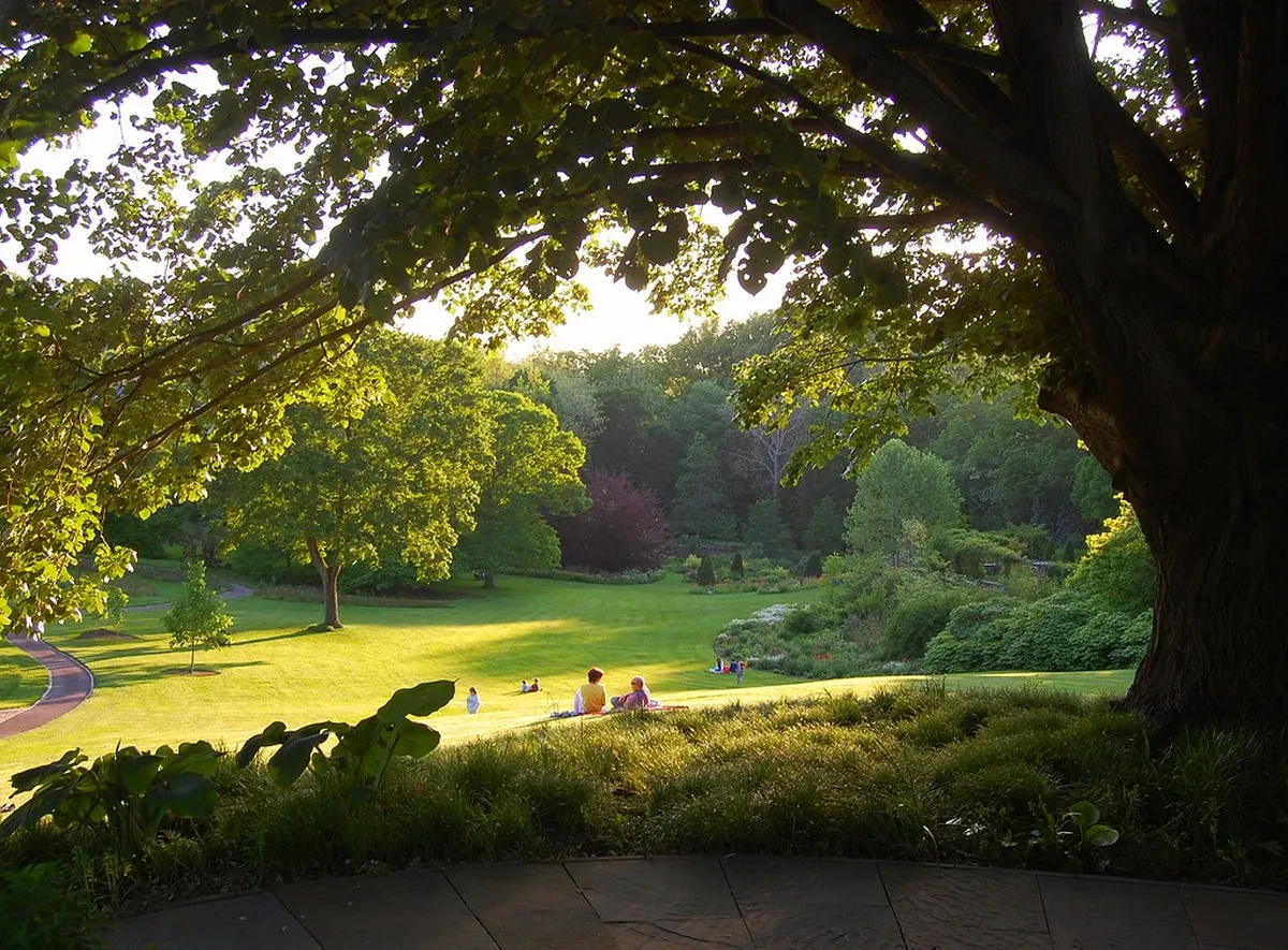 Park Reservations and Timed-Entry Rules to Check in America