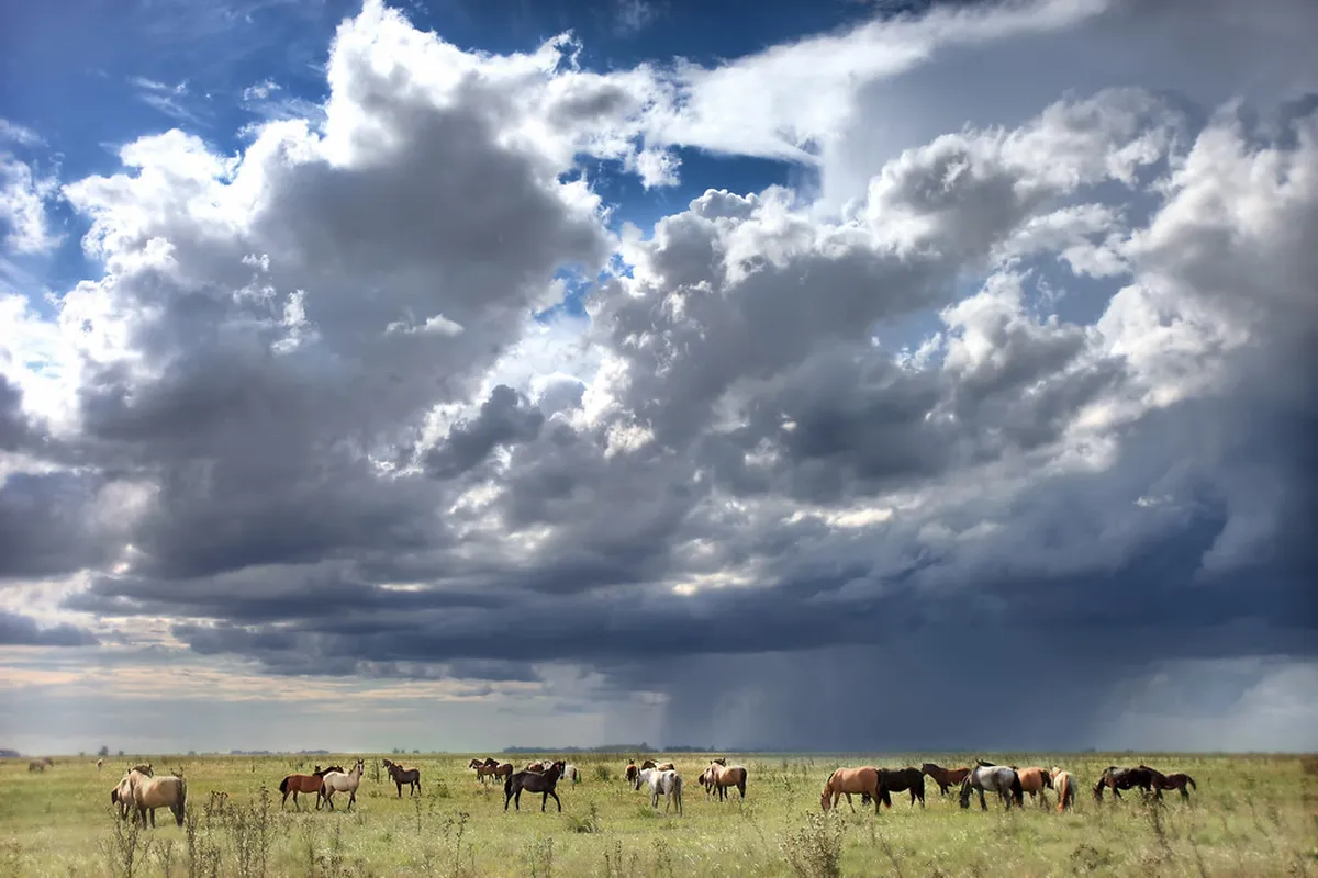 10 Best Farm Stays in America to Compare Before You Book