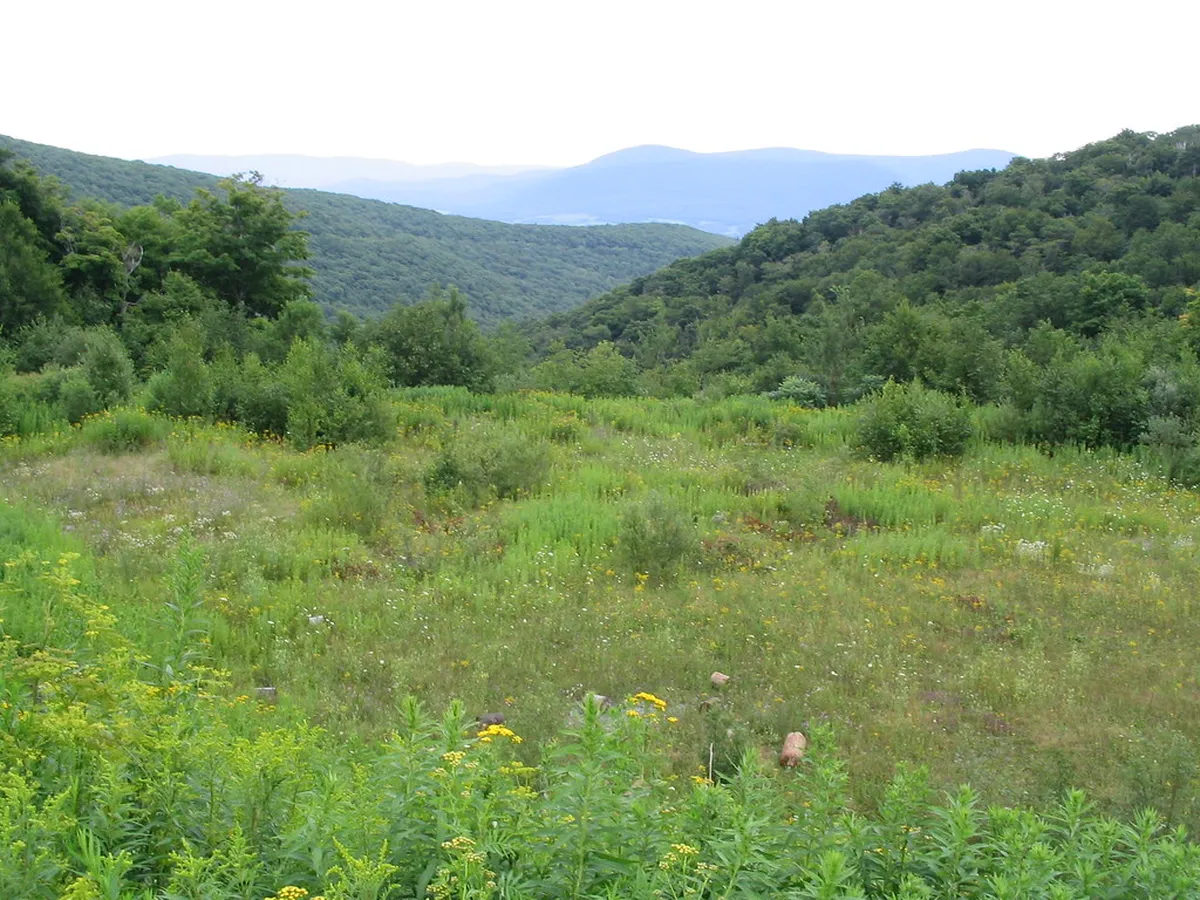 Kent, Connecticut: Litchfield Hills hiking and a small town footprint in America