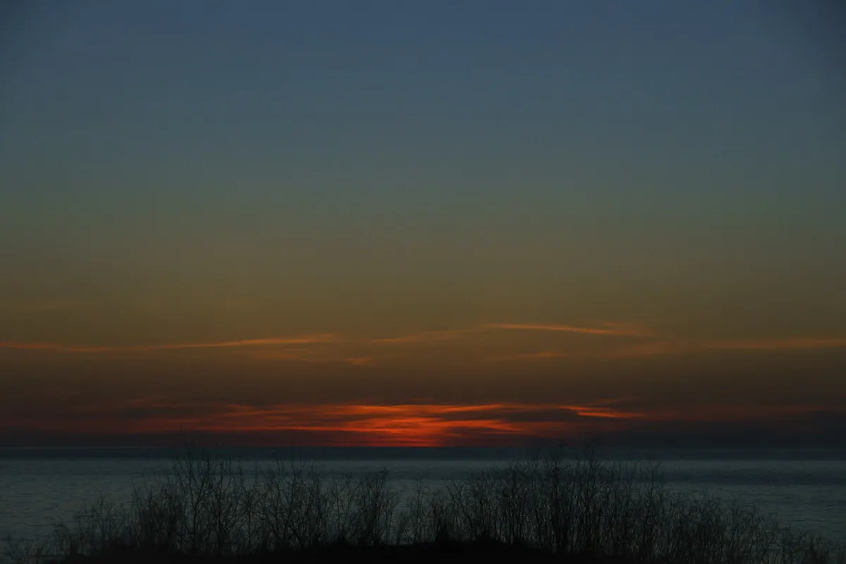 Spring in Traverse City: Blossoms, Mud Season, and Quieter Wine Tasting in Traverse-City