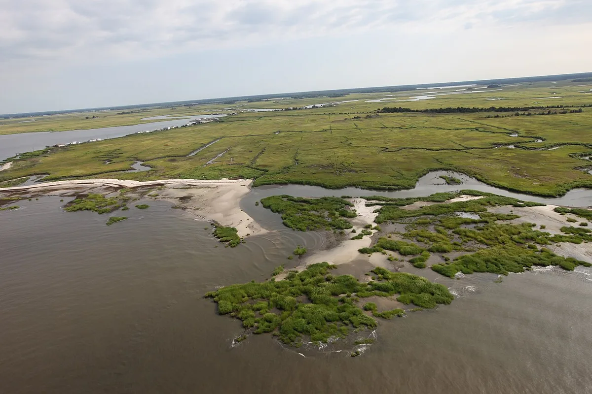 Eroded Shoreline at Gandy's Beach (15034669722) — 1