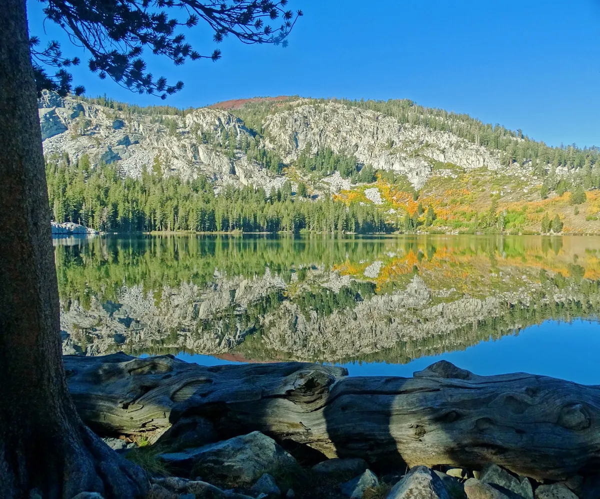 Nature and Birding Excursions Near Stillwater