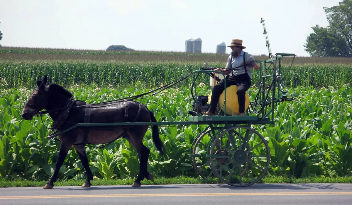 How to Choose Your Amish Country Stop Respectfully in Lancaster