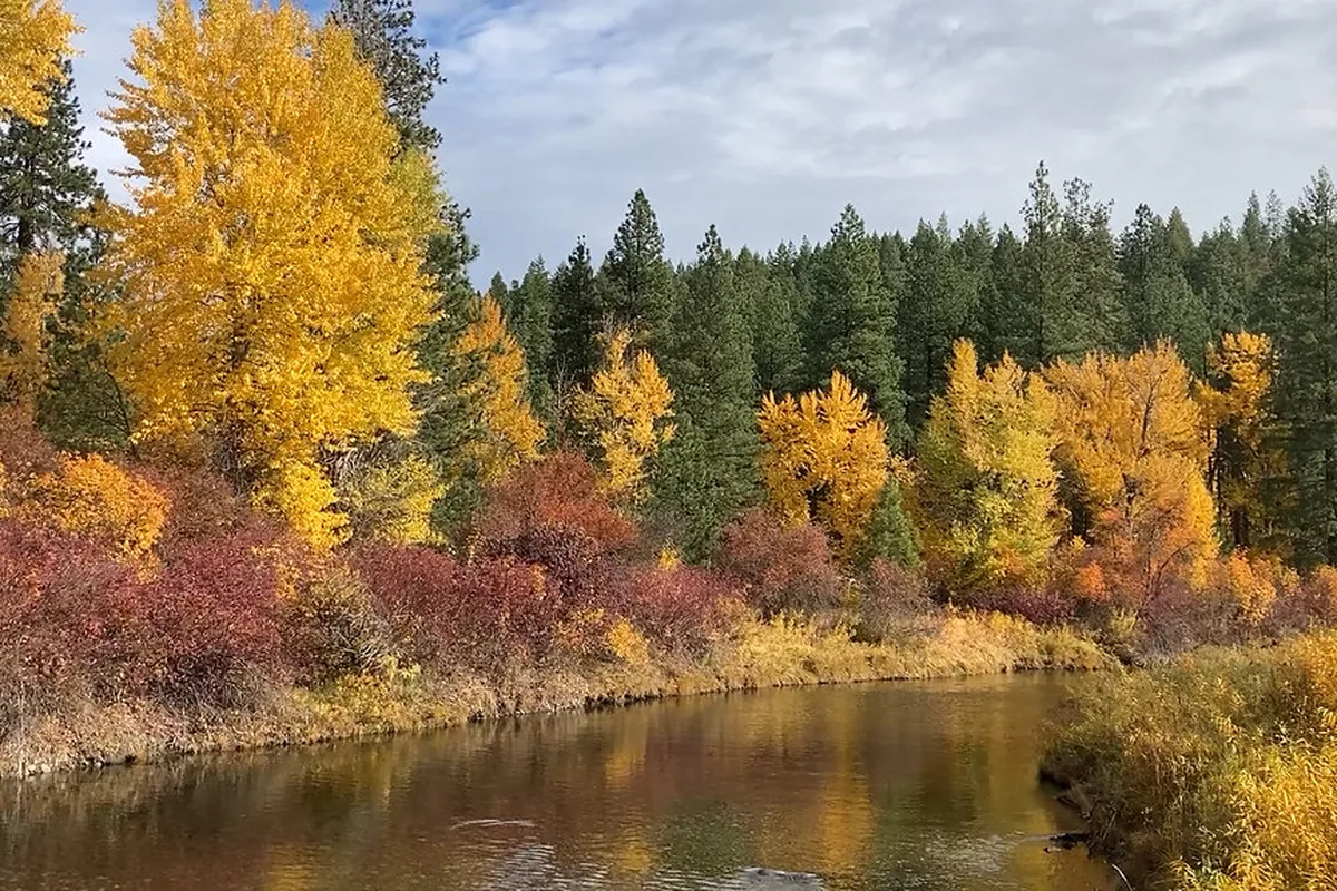 Autumn foliage reflected in Icicle Creek near Leavenworth, Washington
