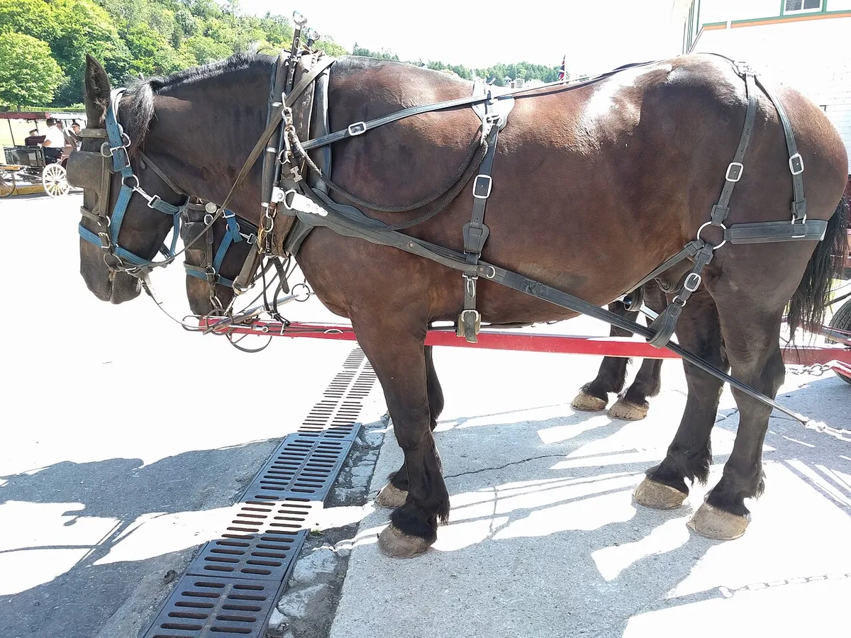 Mackinac Island 2 Day Itinerary — Mackinac Island, Michigan — 1