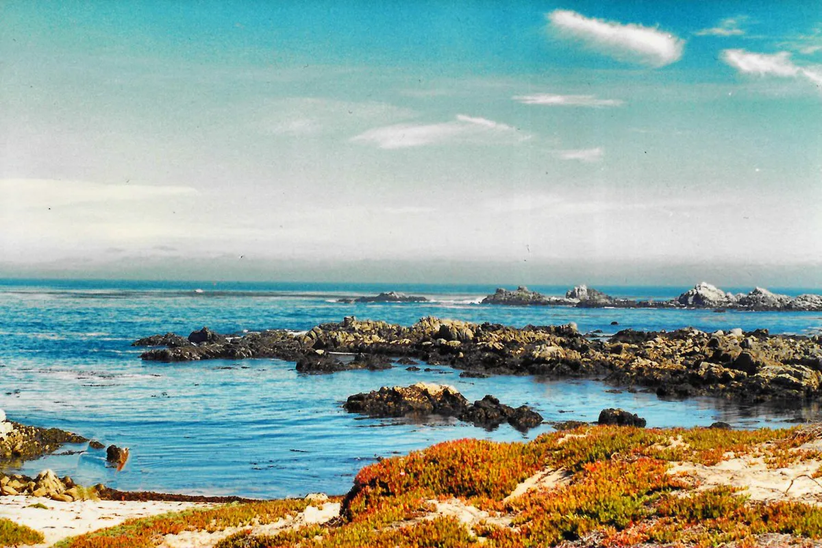 Budgeting the Trip: Where to Save and What to Expect in Carmel-By-The-Sea